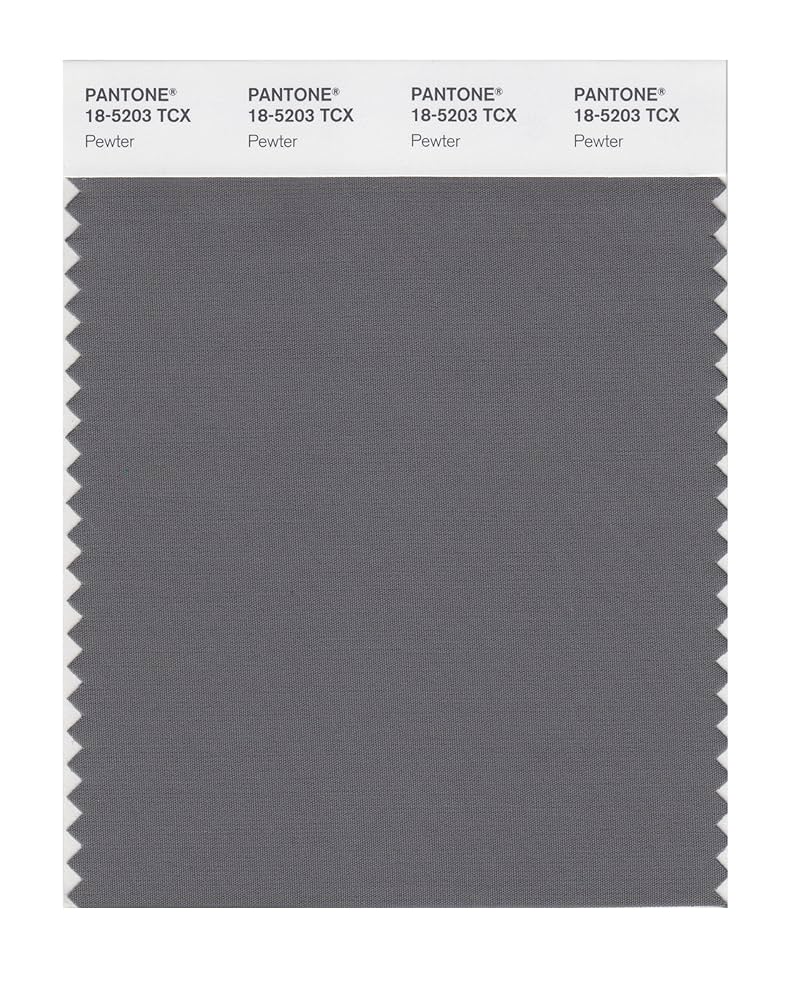 ❤︎y❤︎  Amazon.com: PANTONE Smart 18-5203X Color Swatch Card, Pewter